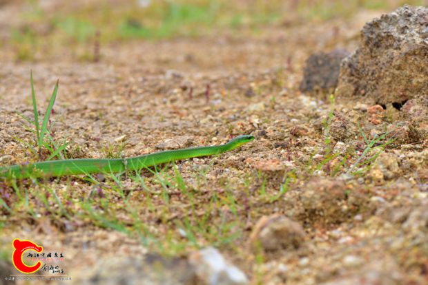 DSC_0473.JPG