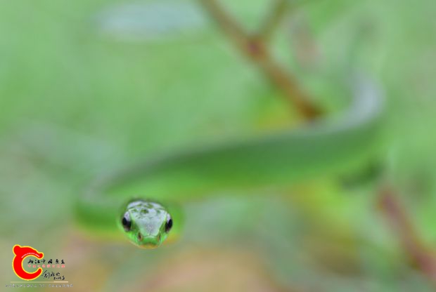 DSC_0481.JPG