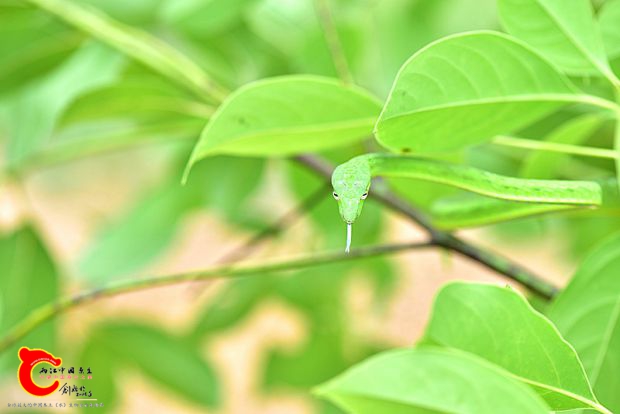 DSC_0434.JPG