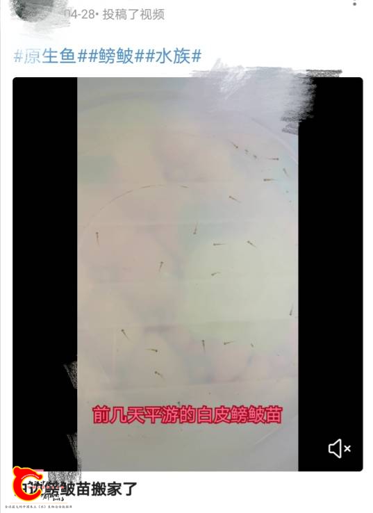 160832j3hjzgs41y132qvb.jpg