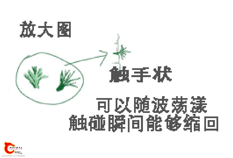 215418wj3z3okzyqdjdjzd.png