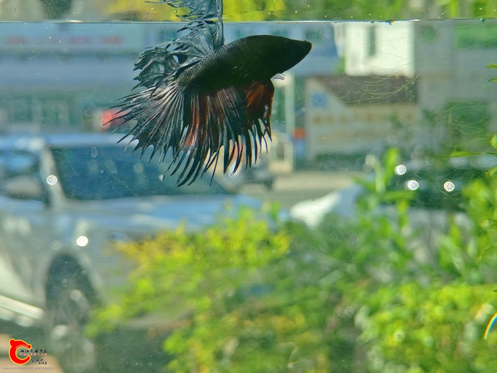 172655g6aabttd2b962ab3.jpg