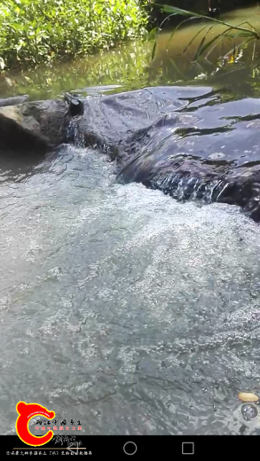 涓涓溪流
