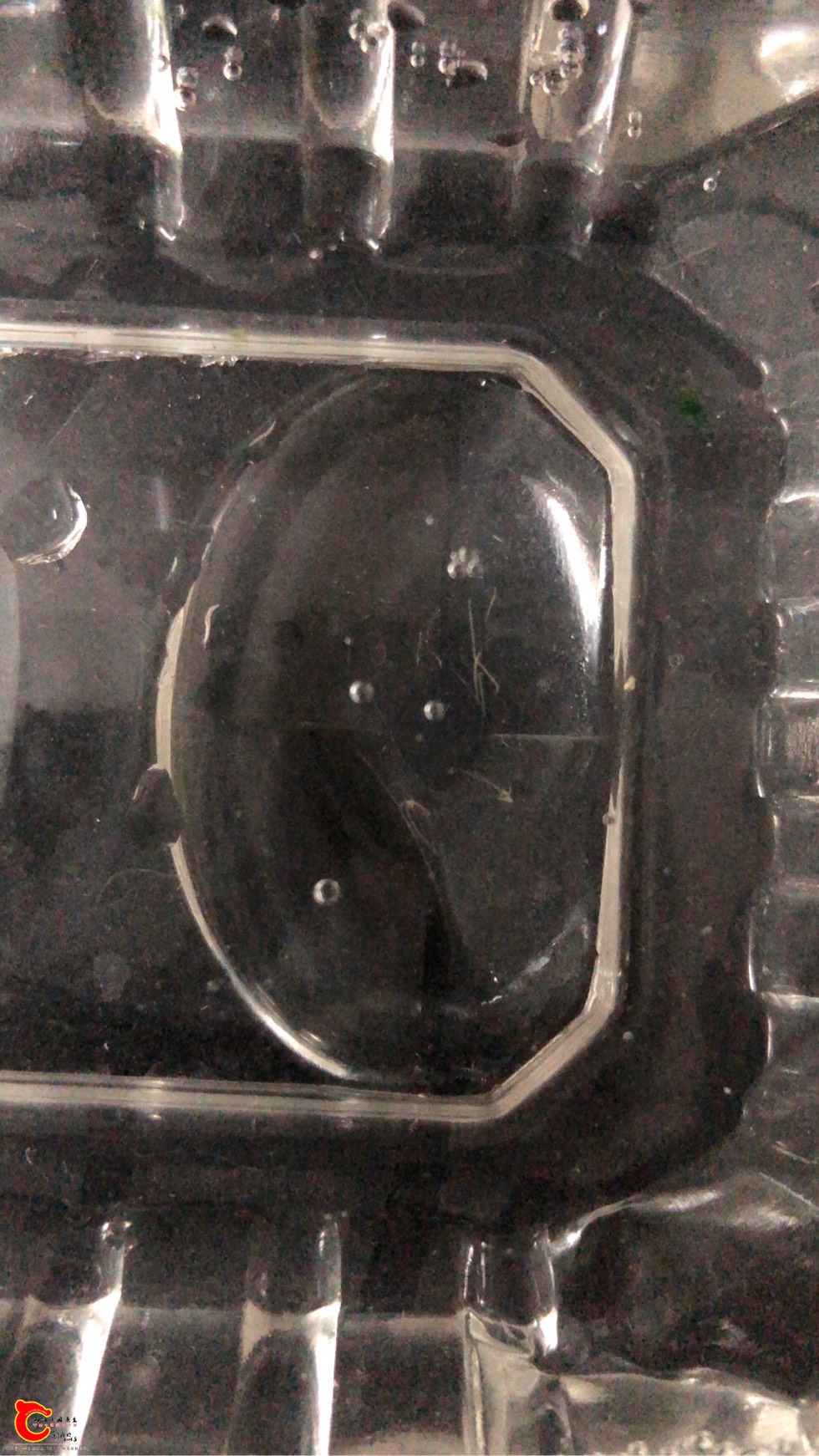 025208yxplcadxqdjczd56.jpg