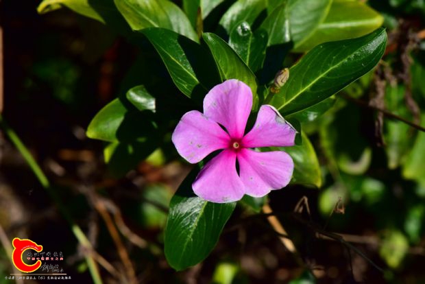 DSC_0376.JPG
