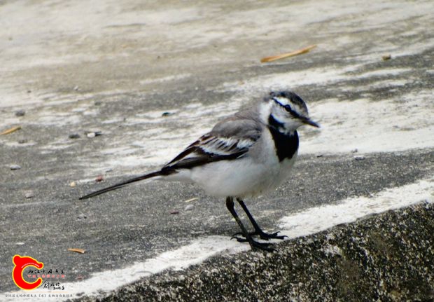 DSC00058_副本.jpg
