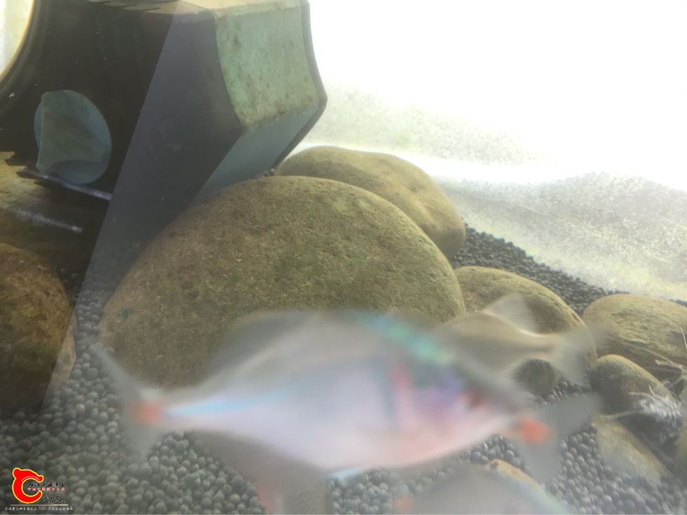150626se7rjl0ek0qm8kmn.jpg