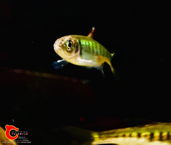 152530raw3036f0jidbd3f.jpg