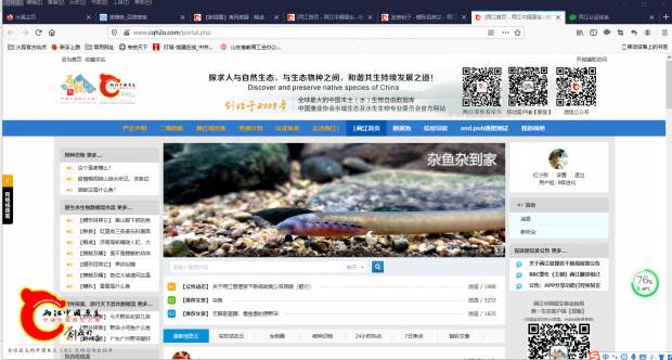 登录截图