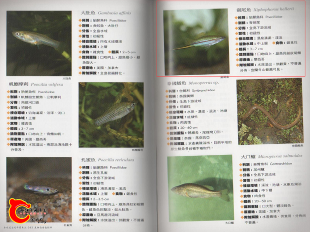 微信图片_20200731193902.png