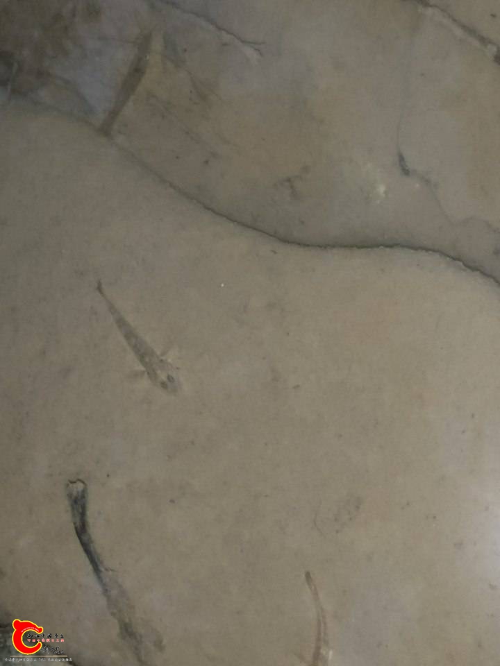 010936hxn4jtmi93p5i5xh.jpg