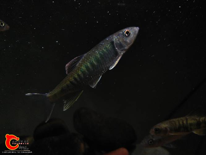 200438d5347uxbekgf30u3.jpg