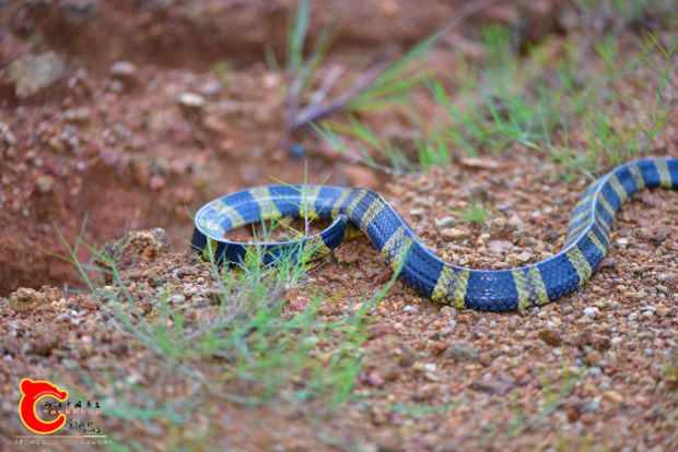 DSC_0545.JPG