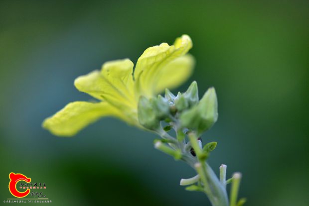 DSC_0513.JPG