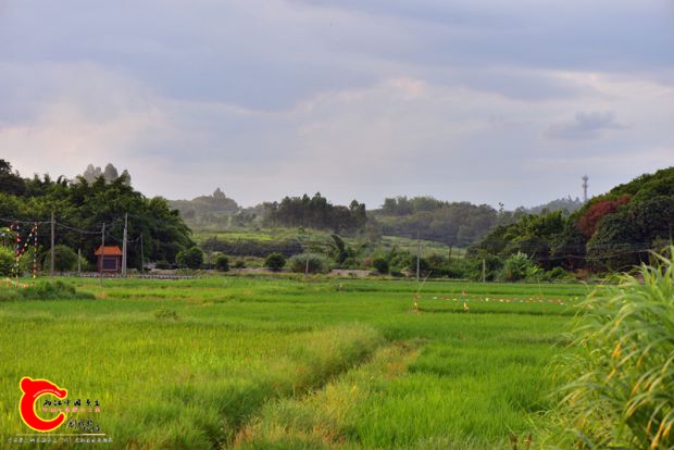 DSC_0516.JPG