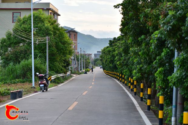 DSC_0518.JPG