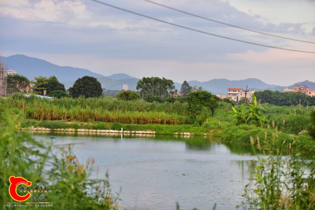 DSC_0521.JPG