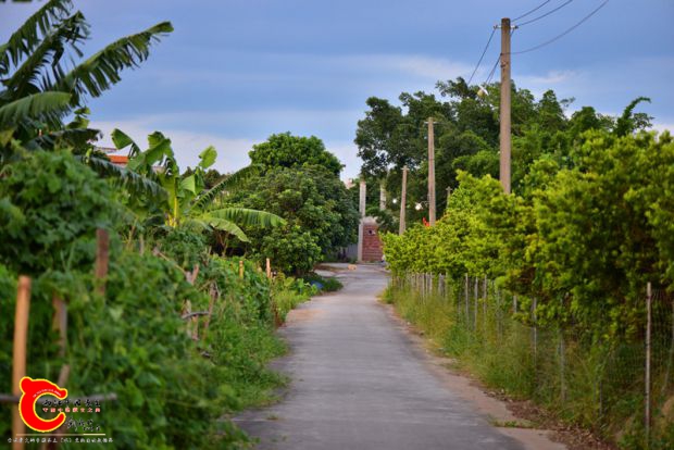 DSC_0527.JPG
