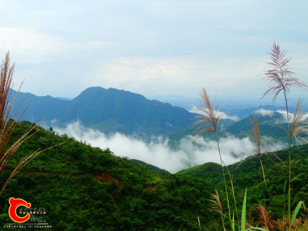 DSC00082_副本.jpg