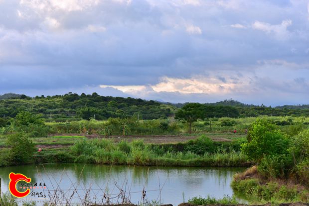 DSC_0529.JPG