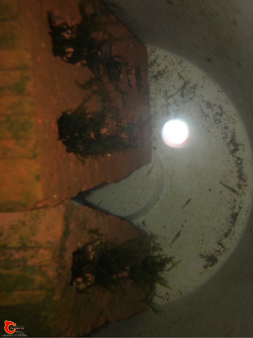 201035egrrui7intxxizus.jpg