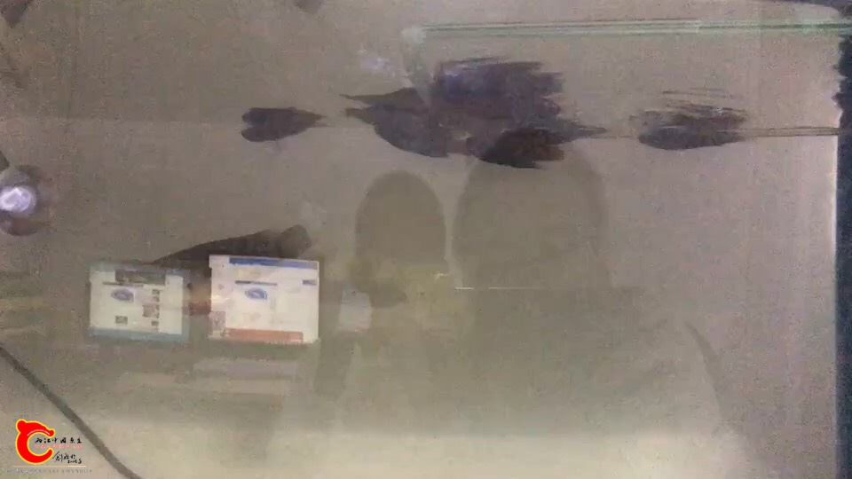 222959h2c11ih2qqkdi2cr.jpg