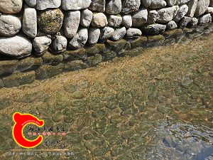 IMG_20201002_122427.jpg