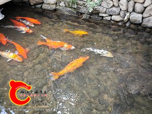 IMG_20201002_122810.jpg