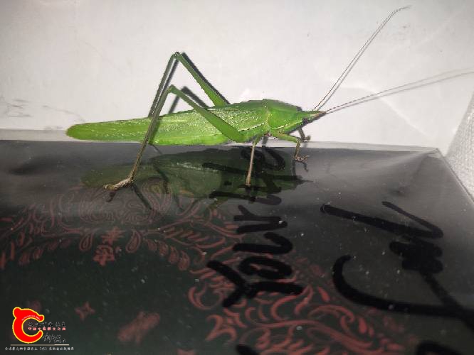 130216sp0asciiupuaz4h3.jpg