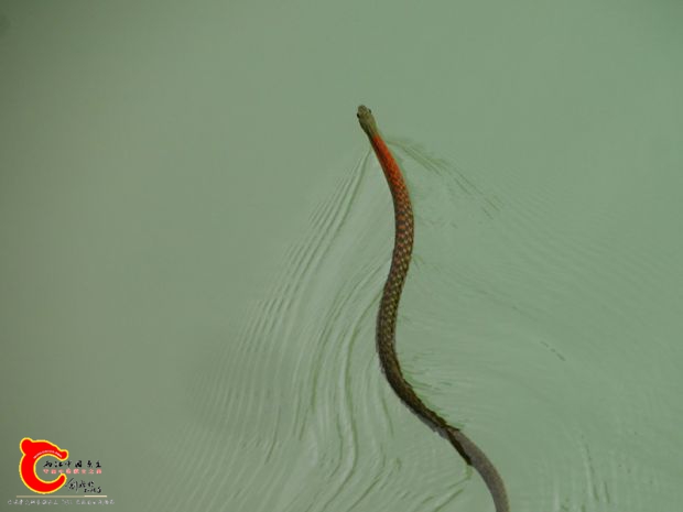 DSC00028_副本.jpg