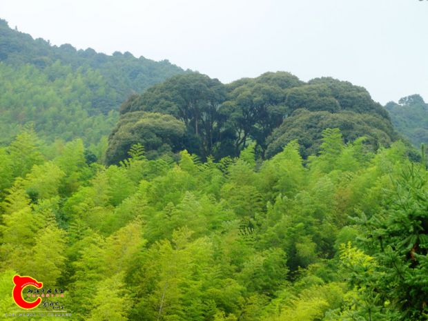 DSC00043_副本.jpg