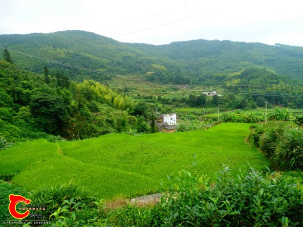 DSC00044_副本.jpg
