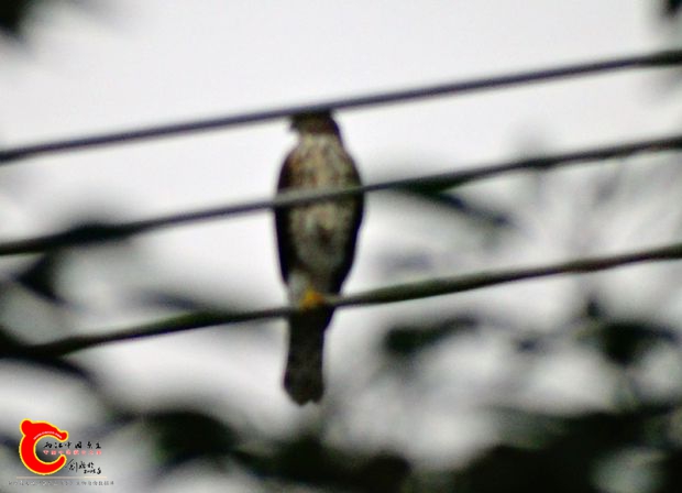 DSC00055_副本.jpg