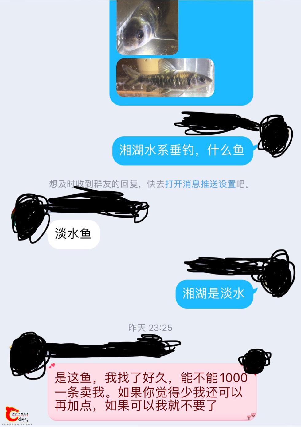 002539yb3mfwddh76wtfh4.jpg