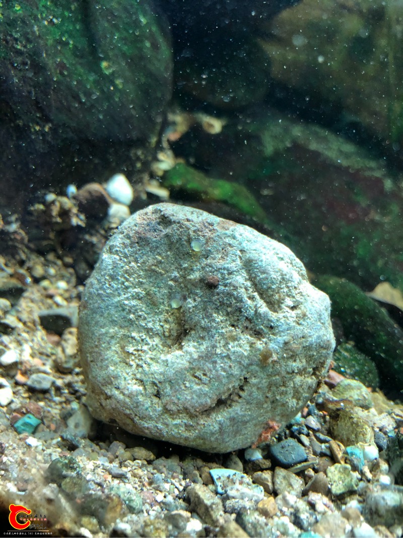 170920mtd1l1dvzhdkj1kk.jpg