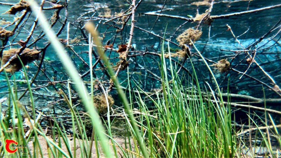 092256bwamwfgqmdkvekzn.jpg