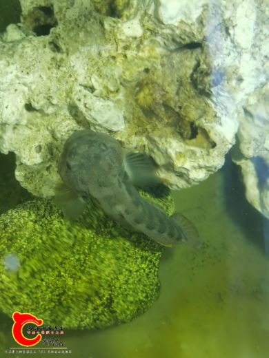 IMG_20210129_084427.jpg