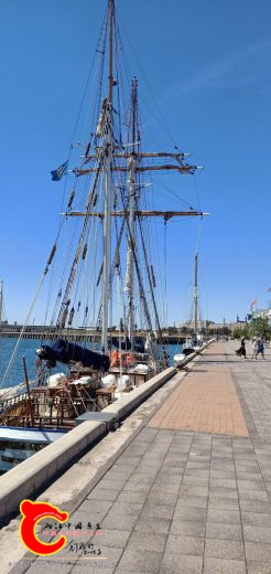 mmexport1612271497448.jpg