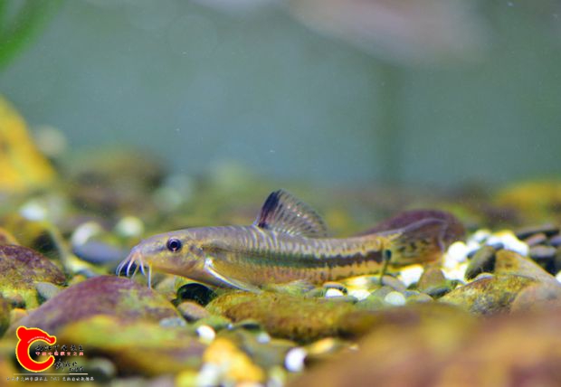 DSC_0666.JPG