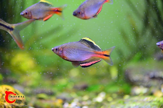 DSC_0757.JPG