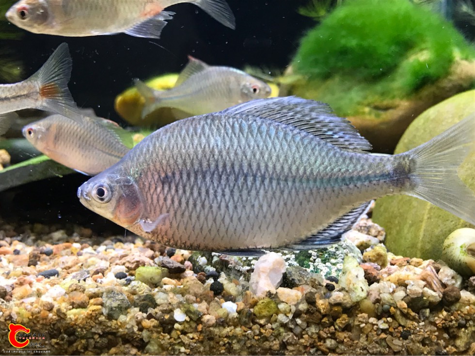 211801sudkek75pei5owoc.jpg