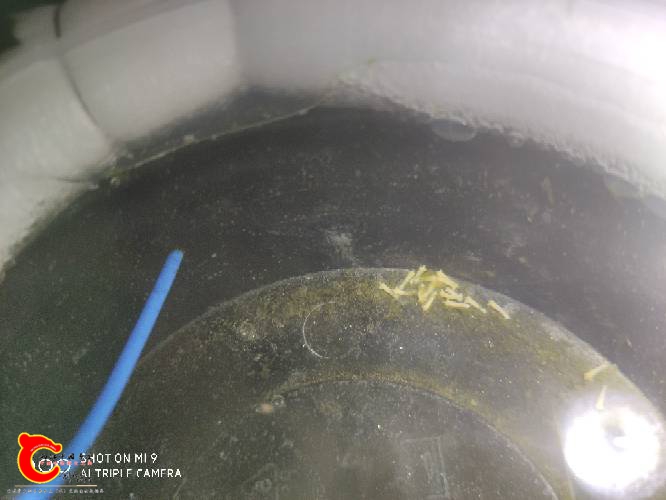 102134zfu88cqagu0weucw.jpg
