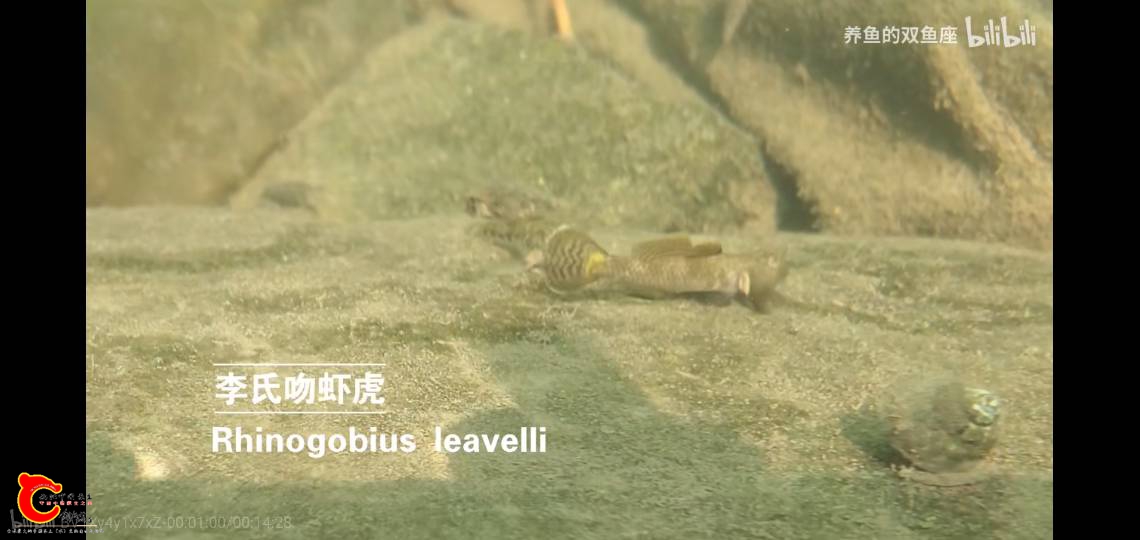142629kokcwu033difl73l.png