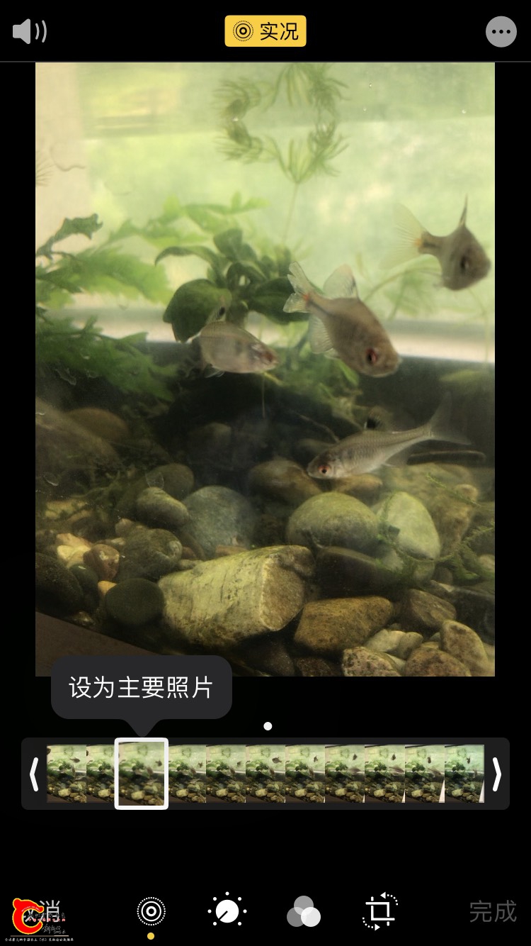 143438fxn9upov6xwgm9vu.jpg