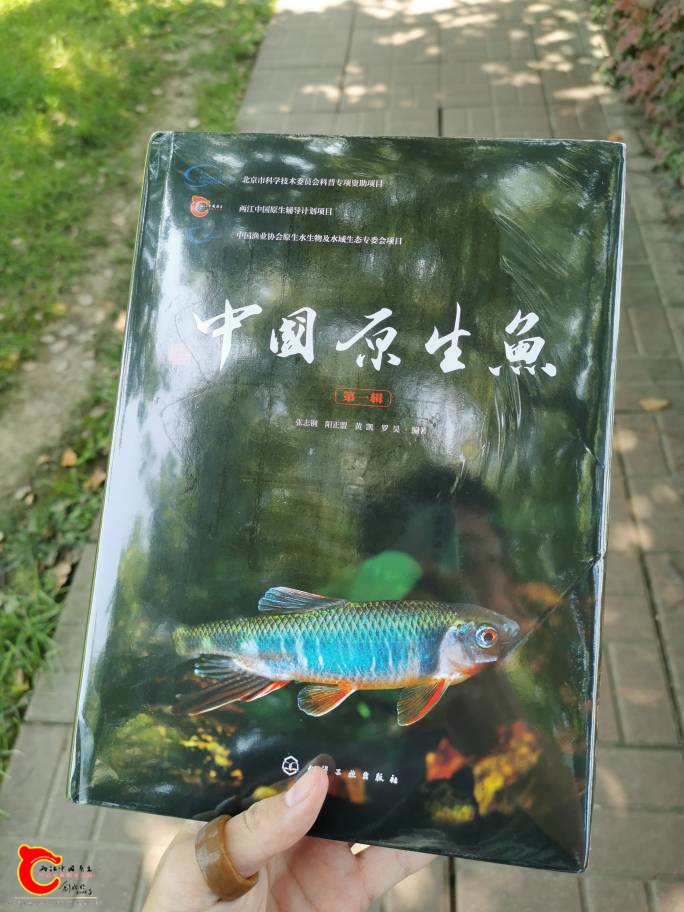 120013uyeqgkaxhhydyhgl.jpg