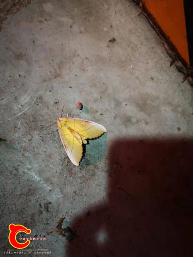 微信图片_20210715191104.jpg