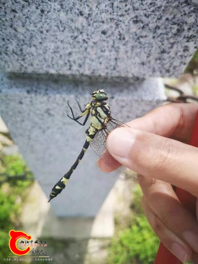 微信图片_20210715193501.jpg