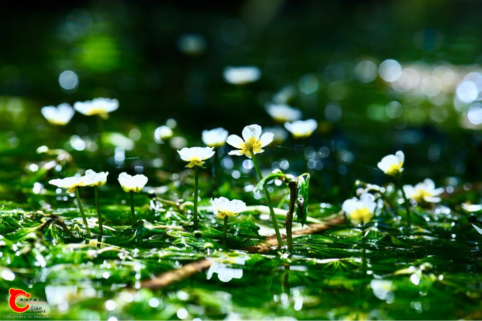 152342x5zy6iyokorofq62.jpg