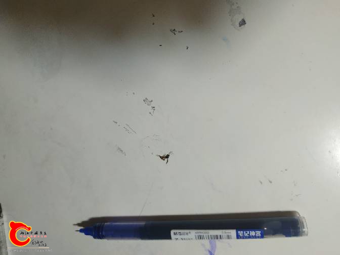 213150j441hx11i946909n.jpg
