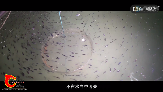 QQ图片20210917221341.png